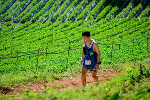 BIB: 
                            <button type="button" onclick="openModal(19163523)" class="btn btn-primary btn-sm float-right btn-popup" data-toggle="modal" data-target=".modal-high-quality">
                        <i class="fas fa-shopping-cart"></i> Add to Cart
                    </button>
                                            <button type="button" onclick="isThisMe(19163523, true)" class="btn btn-success btn-sm float-right btn-popup btn-isme hidden" data-toggle="tooltip" data-placement="bottom" title="นี่คือรูปของคุณใช่ไหม คลิกที่นี่เพื่อเอาเข้าอัลบั้ม">
                        <i class="fas fa-plus"></i> Add to album
                    </button>
                    <button type="button" onclick="isThisMe(19163523, false)" class="btn btn-warning btn-sm float-right btn-popup btn-isnotme hidden">
                        <i class="fas fa-ban"></i> Remove from album
                    </button>